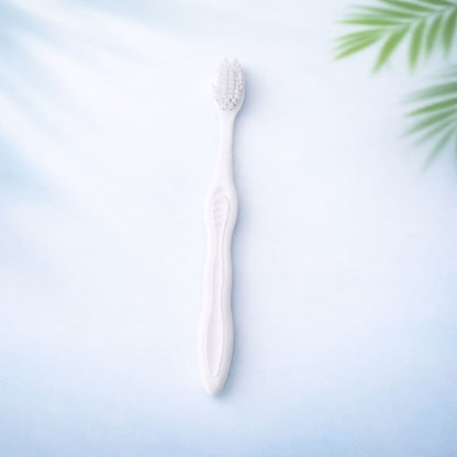 Hotel Toothbrush